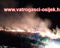 Pozar-sarvas-25.07.2022-1