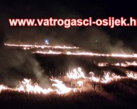 Pozar-sarvas-25.07.2022-4