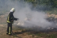 tenje-pozar-smeca-22-06-2011-5