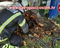 Pozar-stabla-01.06-2