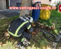 Pozar-stabla-01.06-3