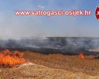 pozar-strnjaka-tenja-18.07-2