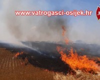 pozar-strnjaka-tenja-18.07-3