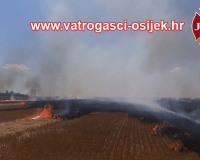pozar-strnjaka-tenja-18.07-4