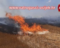 pozar-strnjaka-tenja-18.07-5