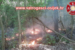 Pozar-sume-28.05.2026.-1