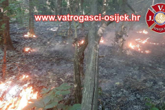 Pozar-sume-28.05.2026.-2