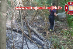 Pozar-sume-28.05.2026.-4