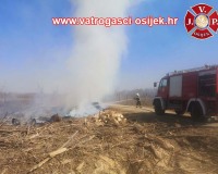 Pozar-sume-nemetin-22.03.2022-2