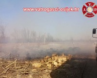 Pozar-sume-nemetin-22.03.2022-3