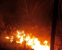 Pozar-trave-i-smeca-14.03.2022-2