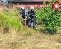 Pozar-trave-i-smeca-sarvas-08.08.2022-2