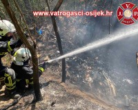 Pozar-trave-i-smeca-sarvas-08.08.2022-4