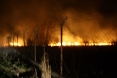 pozar-trave-klisa-29-03-2012-5