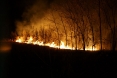 pozar-trave-klisa-29-03-2012-7