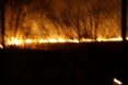 pozar-trave-klisa-29-03-2012-9
