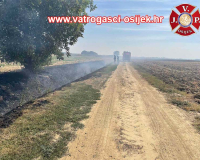 Pozar-trave-nemetin-24.08.2024-4