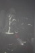 pozar-u-eurodomu-05-11-2013-5