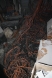 pozar-u-eurodomu-05-11-2013-9