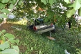 prometna-cepin-k-zvonimira-b-b-28-08-2011-4
