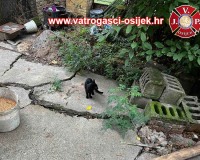 spasavanje-macica-22.08.2022-3