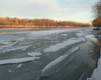 spasavanje-psa-iz-drave-14-01-2016-2
