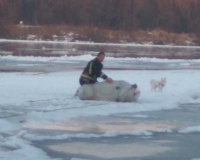 spasavanje-psa-iz-drave-14-01-2016-7