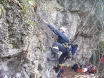 Spasilacki tim