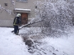 stablo-nagnuto-na-nogostup-medulinska-18osijek-07-02-2015-2