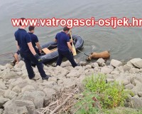 Vadjenje-lesine-iz-drave-28.07.2022-1