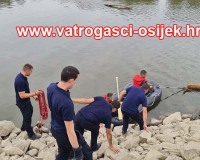 Vadjenje-lesine-iz-drave-28.07.2022-2