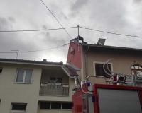 visi-lim-19.08-3