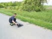 zmija-antunovac-27-05-2012-5