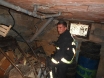 zmija-bijelog-lopocabilje-27-10-2012-3