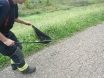 zmija-biljska-cesta-30-09-2015-4