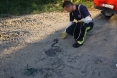 zmija-zeleno-polje-5osijek-29-08-2016-6