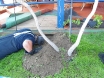 zmija-zeleno-polje31-05-2012-6